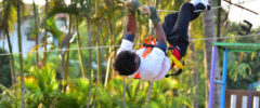 monkey-climbing